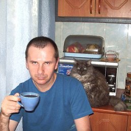 , 61 , -