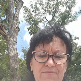 , 56, 