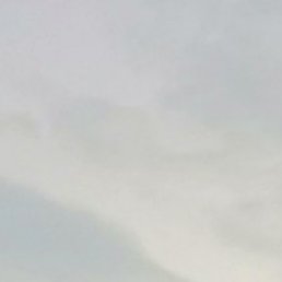 ������, ������, 49 ���