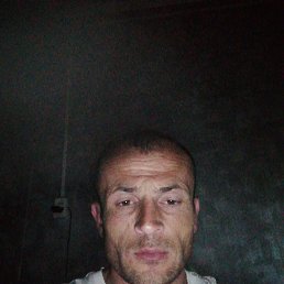 , 34, 