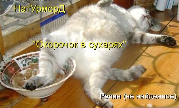   - 12  2025  09:09