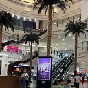 ���� Lora, �����, 58 ��� - ��������� 24 ������ 2025 � ������ ���� ����������