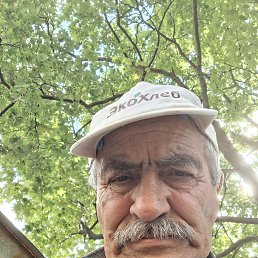 , 64, 