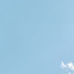 ���������, ������, 42 ����