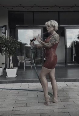 �����������