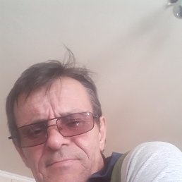 , 59, 