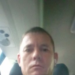 , 41, 