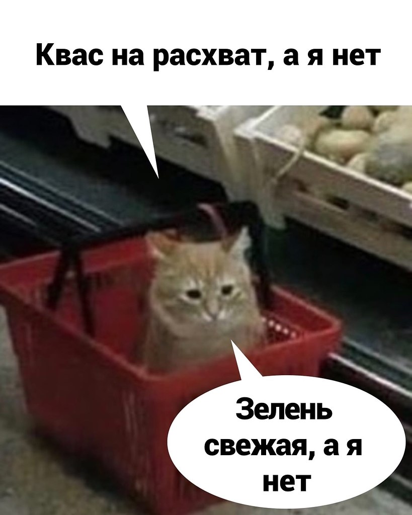 ��� ���� � ����� �� �� - 27 ��� 2026 � 15:55 - 3