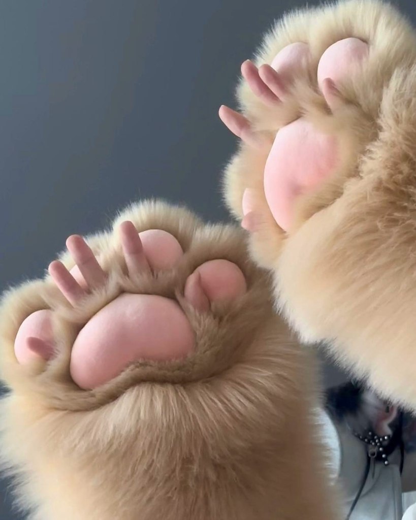    - 2