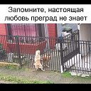 ���� ��������, �������, 58 ��� - ��������� 4 ������ 2026 � ������ ���� ����������