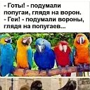 ���� ����, ��������� - ��������� 10 ������ 2024 � ������ ������ ��������