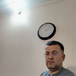 , 41, 