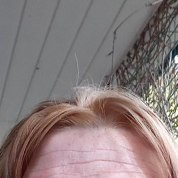 �������, ������, 41 ���