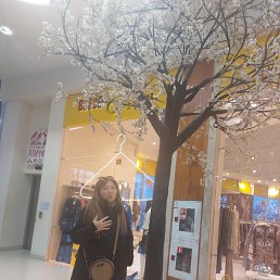 , 41, -