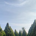 ���� ������, ������ ��������, 39 ��� - ��������� 26 ������� 2025 � ������ ���� ����������