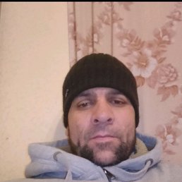 , 41, 