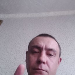 , 42, 