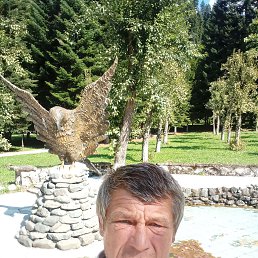 , 49, 