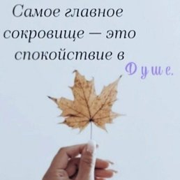 ���� ����, ������, 47 ��� - ��������� 11 ������� 2026