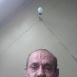 , 56 , 