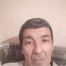 , 65, 