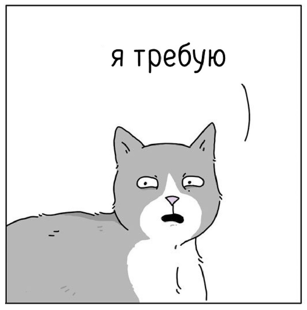  - 8  2025  10:38 - 3