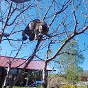 ���� ������, ����-��������� - ��������� 24 ���� 2025 � ������ ������ ���������