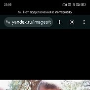 ����, 36 ���, ������