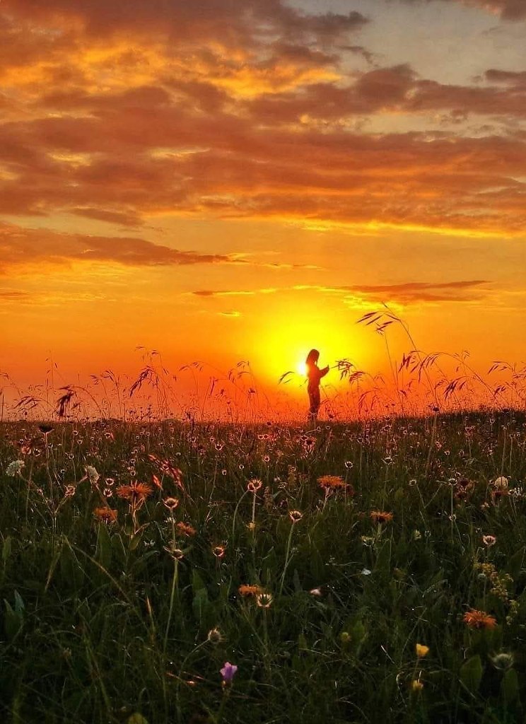 В университет Татьяна, конечно, не поступила... Пора было возвращаться в свой маленький городок, где ...