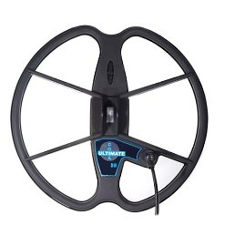 �������, ������, 36 ���