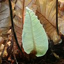 ���� ���������, �����-���������, 48 ��� - ��������� 11 ������� 2023 � ������ ���� ����������