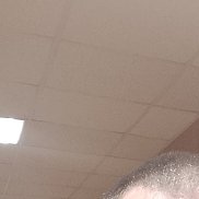 ����, 43 ����, ������