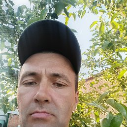 , 37, --