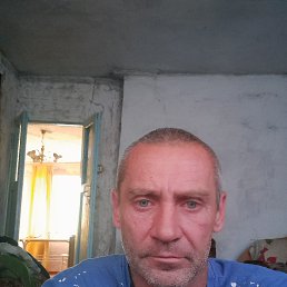  , 44 , 