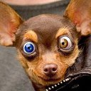 ���� �����, ������, 38 ��� - ��������� 16 ������ 2025