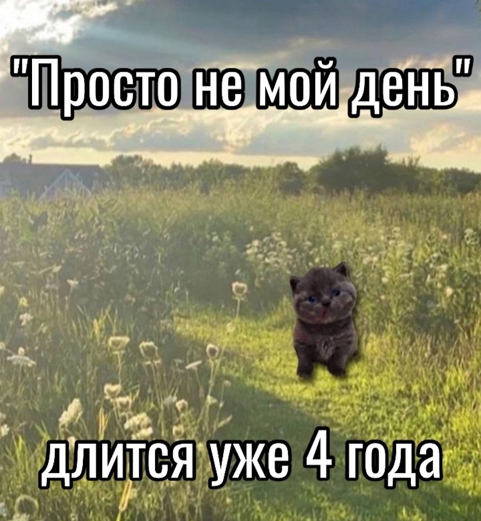    - 21  2024  09:44
