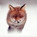  Lg., , 52  -  2  2025