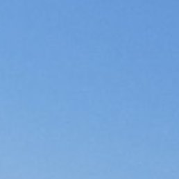 �������, �������, 41 ���