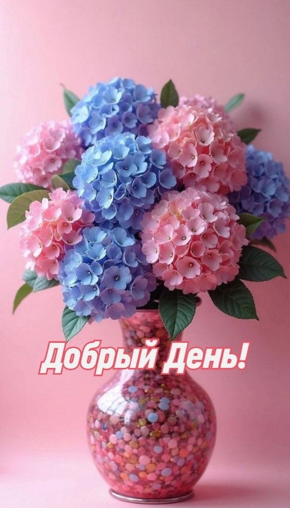   ,    . - 17  2025  16:03 - 2