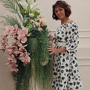 ����, , �����������