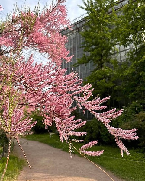 ��������� �������� ��������� ������� � ������������ ���� ����� ��������.�������������� ������� ... - 3