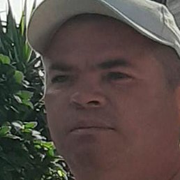 �����, ������, 42 ����