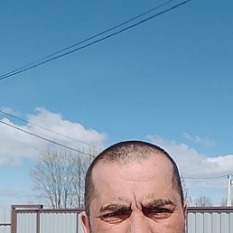  , 43 , 