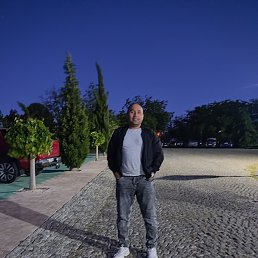 , 33, 