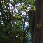 ������, 19 ���, �����������