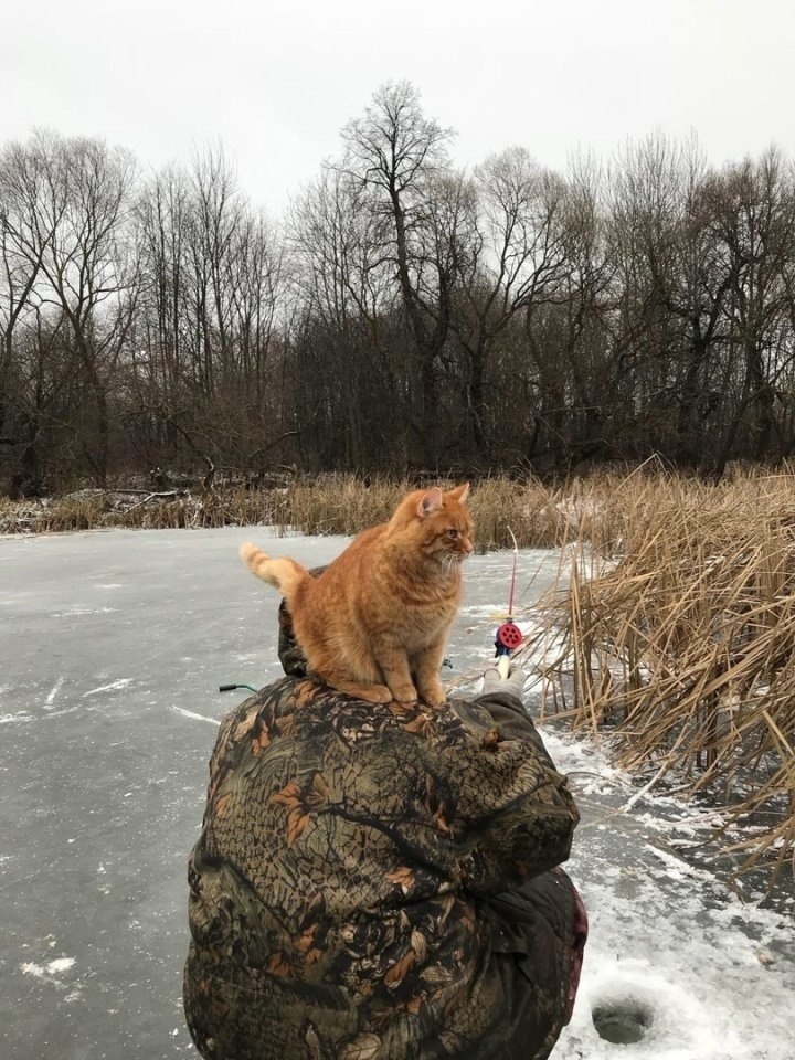      - 2
