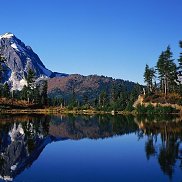 ���������, 34 ����, ������