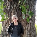 ���� �����, ����������, 43 ���� - ��������� 23 �������� 2024 � ������ ���� ����������