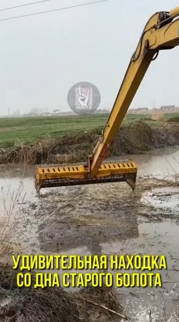  ,    )