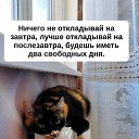 ���� ����, ��������� - ��������� 7 ������ 2026 � ������ ������ ��������